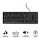 USB-toetsenbord Trust PRIMO, bedraad, QWERTY-toetsenbordindeling, USB 2.0, L 449 x B 148 x H 30 mm, zwart