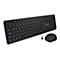 V7 CKW350DE - Tastatur-und-Maus-Set - full size - kabellos - 2.4 GHz - QWERTZ