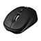 Souris d'ordinateur noire, une molette de dÃ©filement en haut, un bouton DPI en dessous.