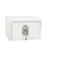 Veiligheidskluis Fortress, serie SS1181, H 220 x B 350 x D 300 mm, dubbelbaardslot