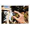 Verbatim PRO - Flash-Speicherkarte - 32 GB - microSDHC UHS-I