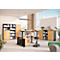 Verrijdbaar ladeblok Agenda Home, 4 laden, B 420 x D 490 x H 610 mm, grafiet/eik, 3 laden