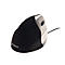 Verticale muis Evoluent Standard Right Hand Model, muis met 3 knoppen, scrollwiel, kabel
