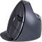 Vertikalmaus BakkerElkhuizen Evoluent D wireless, ergonomisch, USB, 5 Tasten inkl. Scrollrad, verchromt