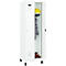 Vestiaire C+P Evolo Plus, 2 compartiments, largeur des compartiments 300 mm, avec pieds, charnières à droite, serrure à cylindre, L 600 x P 500 x H 1950 mm, blanc trafic/blanc trafic