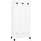 Vestiaire C+P Evolo Plus, 3 compartiments, charnières à droite, serrure à cylindre, L 900 x P 500 x H 1950 mm, blanc signalisation/blanc trafic