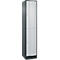 Vestiaire Resisto de C+P, 1 compartiment, 2 casiers, L 396 x P 540 x H 1950 mm, gris anthracite/gris clair