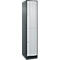 Vestiaire Resisto de C+P, 1 compartiment, 2 casiers, L 396 x P 640 x H 1950 mm, gris anthracite/gris clair