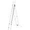 Vielzweckleiter Hailo ProfiLOT, EN 131, LOT-System, Treppen verstellbar bis 540 mm, bis 150 kg, 3 x 12