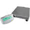 Vloertelweegschaal Adam GFC 75, weegbereik 5 g-75 kg, LC-display, numeriek toetsenbord, RS-232, netvoeding/batterij, B 400 x D 620 x H 860 mm, roestvrij staal, grijs