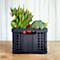 Vouwkrat voor inklapbare trolley CLAX, 46 l, zwart