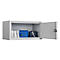 Waardevak WF 3, inhoud 9 l, deurscharnier rechts, cilinderslot met 2 sleutels, incl. verankeringsmateriaal, H 160 x B 300 x D 200 mm, lichtgrijs RAL 7035