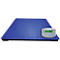 Wägebrücke Adam PT-312, Wägebereich 1000 g-3000 kg, mit AE403 Display, B 1200 x T 1200 x H 100 mm, Stahl, blau