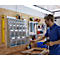 Wand-Mehrfach-Kleinteilelager MultiStore, 33 Lagerboxen, Volumen 76 l, B 600 x T 185 x H 684 mm, Holzplatte &amp; Polystyrol
