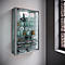 Wandkast Vitrosa Mini - B 590 x D 180 x H 910 mm - ZONDER LED-verlichting - 8 legborden - glas en hout - zilver