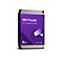 Disque dur WD Purple avec façade violette, logo et texte blancs. Imprimé : "WD Purple", "3.5" Surveillance HDD", "6TB" et "Western Digital".