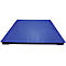 Weegbrug platformweegschaal serie PT 112, capaciteit 1000 kg, zonder Displayunit, geen ijkgoedkeuring