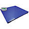 Weegbrug platformweegschaal serie PT 115 GK, capaciteit 1000 kg, met displayunit, geen ijkgoedkeuring