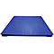 Weegbrug platformweegschaal serie PT 312, Capaciteit 3000 kg, zonder Displayunit, geen ijkgoedkeuring