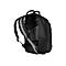 Schwarzer Rucksack mit grauen Schultergurten und RÃ¼ckenpolsterung.