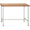 Werkbank, B 1200 x D 600 x H 840 mm, zonder onderbouw