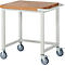 Werkbank serie 8000, verrijdbaar, werkblad massief beukenhout, B 750 x D 700 x H 880 mm