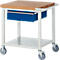 Werkbank serie 8001, verrijdbaar, met schuiflade, met legbord, B 750 x D 700 x H 880 mm