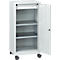 Werkzeugschrank mit Rollen, Flügeltür, 2 Böden, 1 Schub, B 500 x T 500 x H 1000 mm, abschließbar, lichtgrau