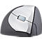 Vertical computer mouse in gray and silver. There is a gray button on the top.