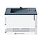 Xerox B230 - Drucker - s/w - Laser