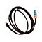 Câble noir avec connecteur RJ45, connecté à un connecteur beige avec une étiquette bleue "12V".