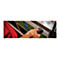 Zebra CS60 - Standard Range (SR) - Kit - Barcode-Scanner - Begleiter - 2D-Imager
