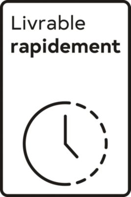 Livrable rapidement