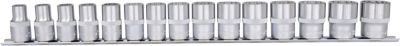1/2" 12-kant-Stecknuss-Satz, 15-tlg, 10-24mm