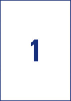 Avery Zweckform Universal-Etiketten, 100 Etiketten, 210 x 297 mm