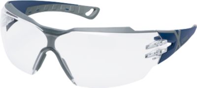 Bügelbrille Uvex pheos cx2 fbl sv, EN 166, EN 170, Polycarbonat klar, Rahmen blau/grau, 5 Stück