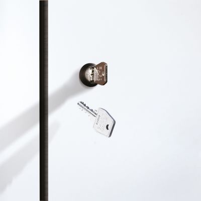 C+P cilinderslot met 2 sleutels, voor Evolo Plus, sluitcircuit tot 1000 sluitingen, zilver