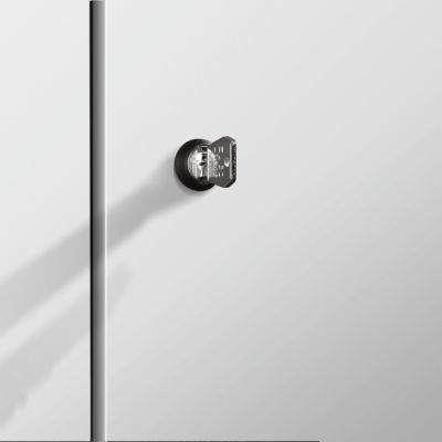 C+P Z locker Cambio, 3 vakken, op poten, B 1200 x D 525 x H 1980 mm, verkeerswit / essenhout decor