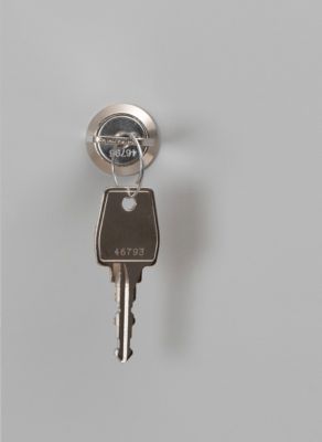 Cilinderslot voor kluisje, L 90 x B 70 mm, Incl. 2 sleutels, staal
