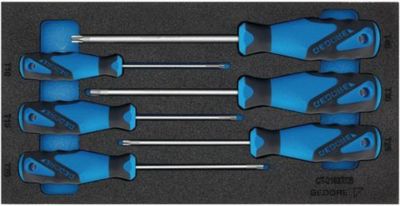 Gedore Werkzeugeinlage 1500 CT1-2163 TX, 1/3 Modul, inkl. Schraubendrehersortiment, 6-tlg., B 157,5 x T 310 x H 35 mm, Schaumstoff, schwarz/blau