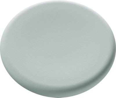 Glasboard-Magnete Legamaster, 5 Stück, ⌀ 30 mm, sage green