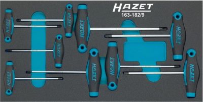HAZET Werkzeugmodul 163-182/9, 9-teilig, Schraubendreher-Satz Sternprofil T6-T30, B 342 x T 172 mm