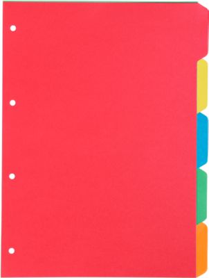 Kartonregister Schäfer Shop Select, 1er Pack, 4-fach Lochung, 160 g/qm Recyclingkarton, 5-teilig