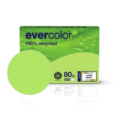 Kopierpapier EVERCOLOR, farbig, DIN A4, 80 g/m², lindgrün, 500 Blatt