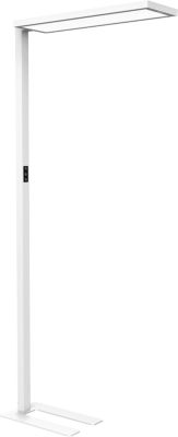 LED-Stehlampe Maul MAULsenja, 87 W, 15150 lm, 2700-5700 K, direktes/indirektes Licht, dimmbar, Bewegungs-/Lichtsensor, H 1960 mm, Aluminium, weiß