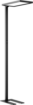 LED-Stehleuchte Dotlux ROOFbutler, 80 W, 8800 lm, 4000 K, dimmbar, Anwesenheitssensor, schwarz