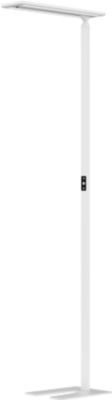 LED Stehleuchte Hansa Larimar, verstell- & drehbar, Energieeffizienzklasse E, 81 Lumen, 4000 K, H 1997 mm, weiß