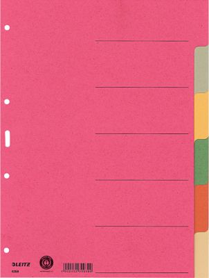 LEITZ® Register Blanko, 6 Taben, zur freien Verwendung, einzeln