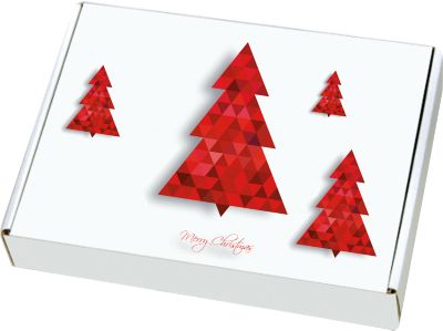 Maxibriefkartons, mit Motiv „Tannenbaum“, portooptimiert, bis 20 kg, Außenmaße 350 x 250 x 50 mm, Mikrowellpappe, weiß-braun, 20 Stück