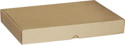 Maxibriefkartons-Versandschachteln, 233 x 170 x 45 mm, 50 Stück